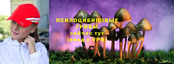 PSILOCYBIN Алзамай