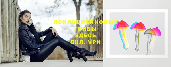 PSILOCYBIN Алзамай