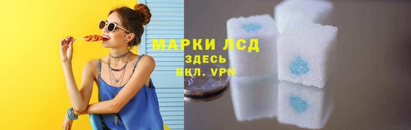 PSILOCYBIN Алзамай