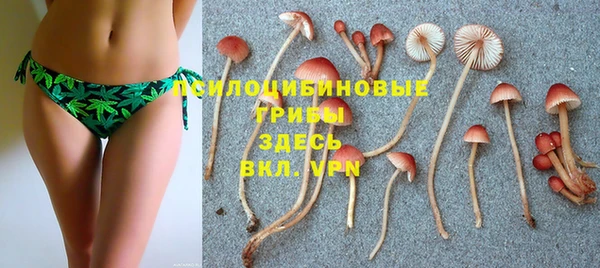 амф Алексин