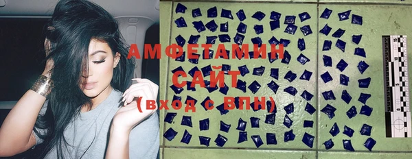 PSILOCYBIN Алзамай