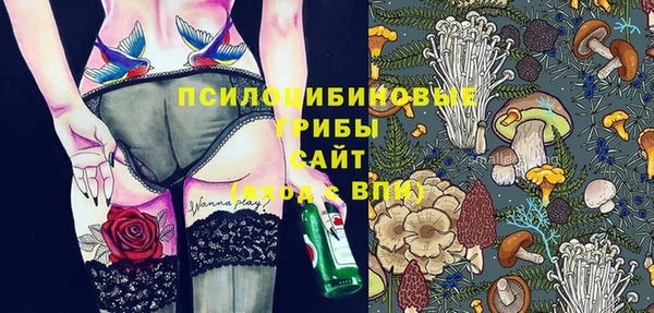 СК Алексеевка