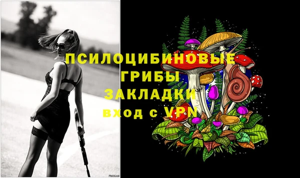 СК Алексеевка
