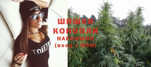 PSILOCYBIN Алзамай